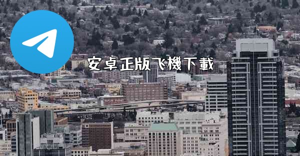 安卓正版飞機下載