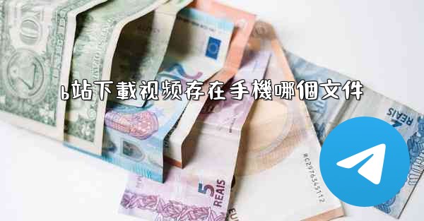 b站下載视频存在手機哪個文件