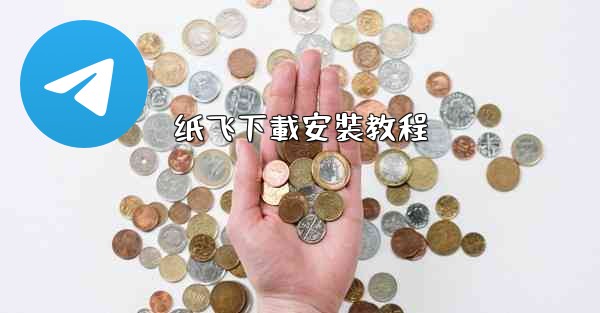 纸飞下載安裝教程