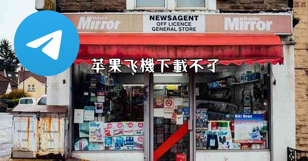 苹果飞機下載不了