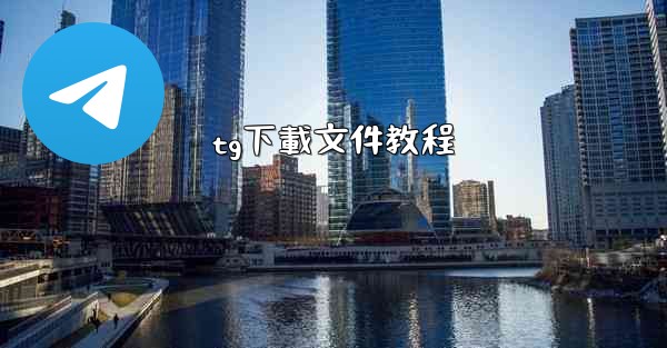 tg下載文件教程