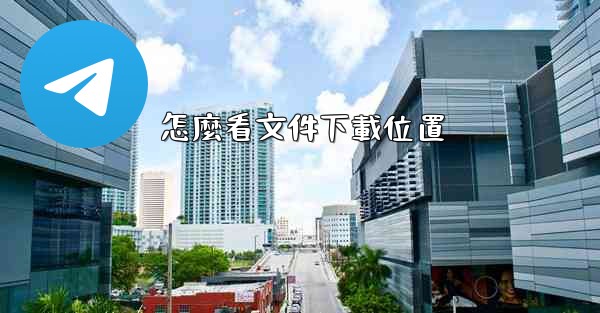 怎麼看文件下載位置