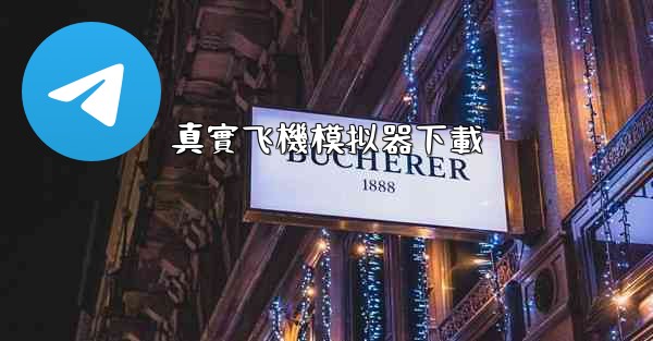 真實飞機模拟器下載