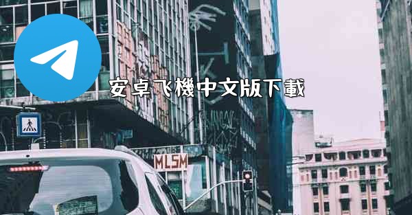 安卓飞機中文版下載