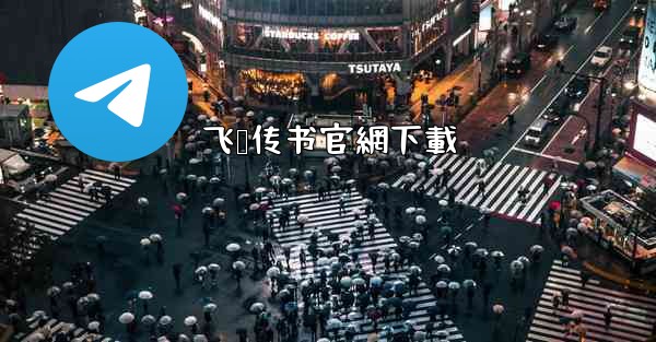 飞鸽传书官網下載