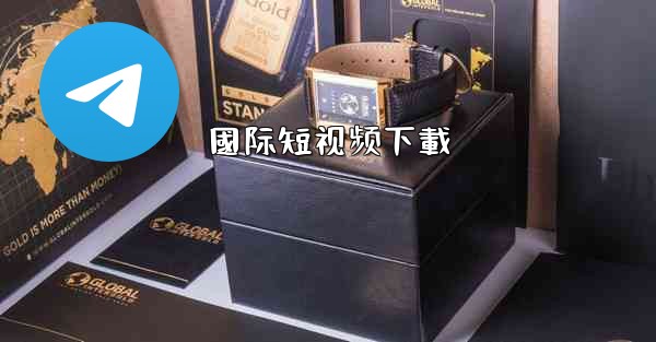 國际短视频下載