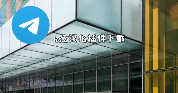 hs2汉化插件下載