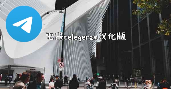 電报telegeram汉化版