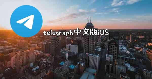 telegraph中文版iOS