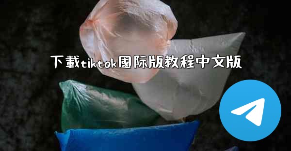 下載tiktok國际版教程中文版