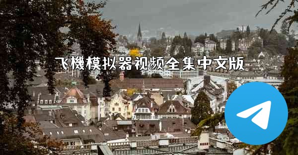 飞機模拟器视频全集中文版