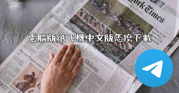 電腦版纸飞機中文版怎麼下載