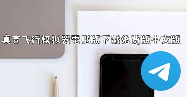 真實飞行模拟器電腦版下載免费版中文版