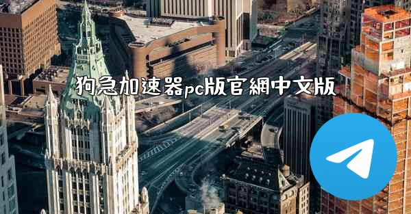 狗急加速器pc版官網中文版