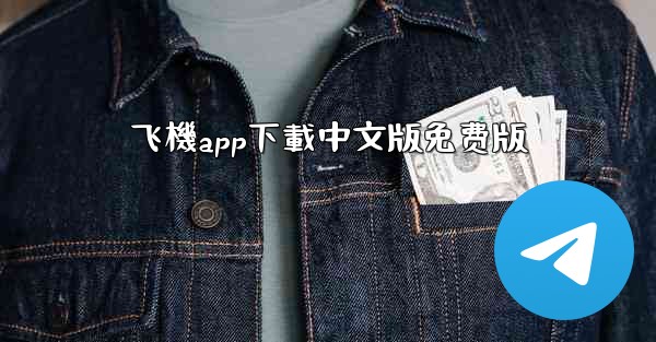 飞機app下載中文版免费版