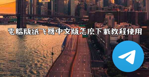 電腦版纸飞機中文版怎麼下載教程使用