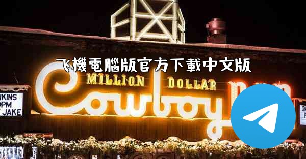 飞機電腦版官方下載中文版