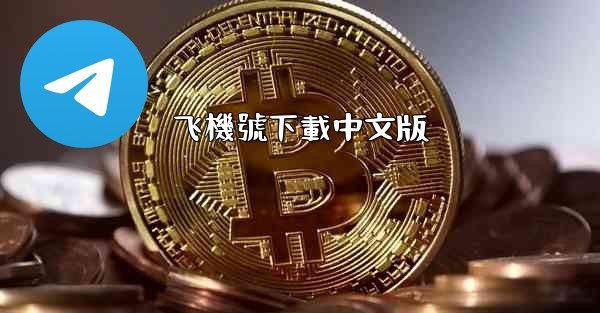 飞機號下載中文版