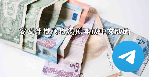 安卓手機飞機怎麼弄成中文版的