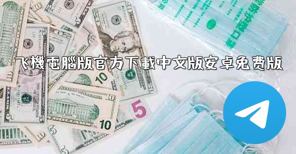 飞機電腦版官方下載中文版安卓免费版