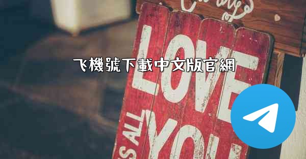 飞機號下載中文版官網