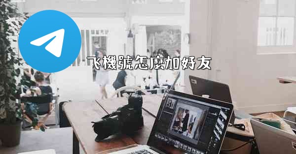 飞機號怎麼加好友