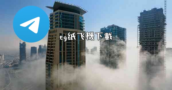 tg纸飞機下載