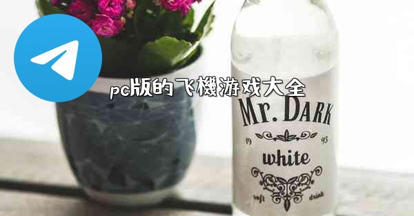 pc版的飞機游戏大全