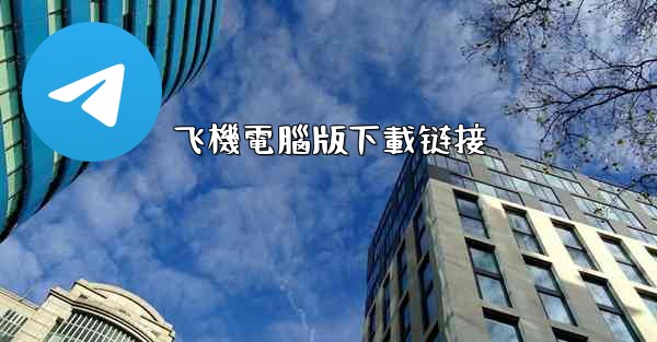 飞機電腦版下載链接