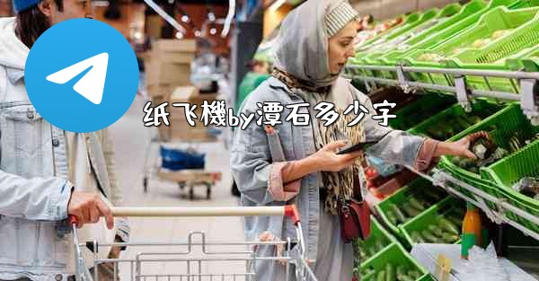 纸飞機by潭石多少字