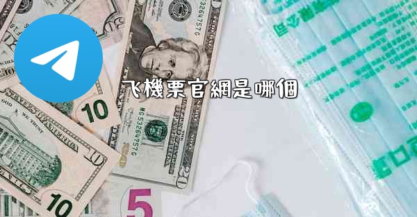 飞機票官網是哪個