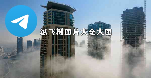 纸飞機图片大全大图