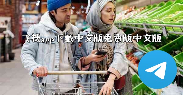 飞機app下載中文版免费版中文版