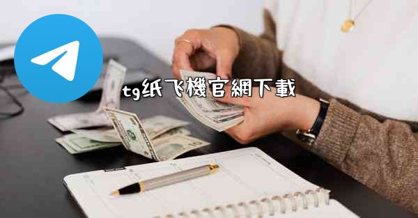 tg纸飞機官網下載