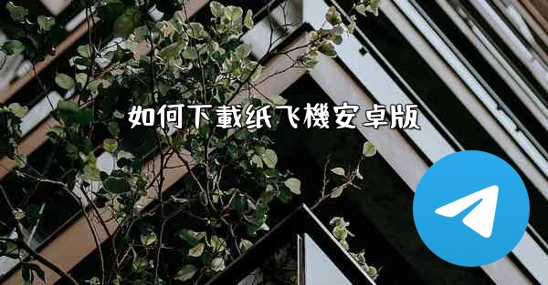 如何下載纸飞機安卓版