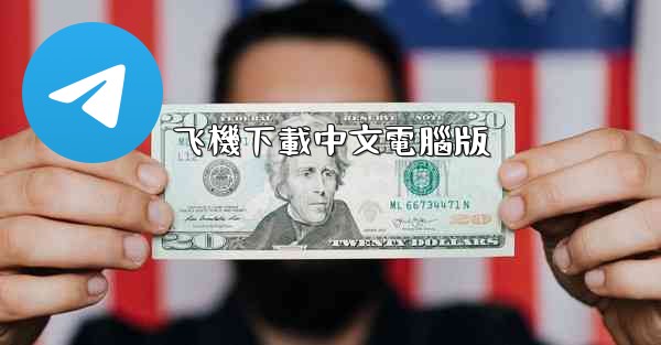 飞機下載中文電腦版