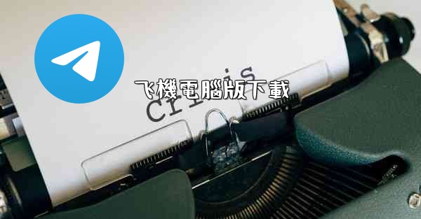 飞機電腦版下載