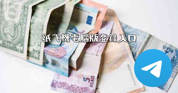 纸飞機電腦版登錄入口