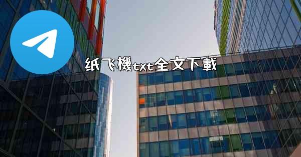 纸飞機txt全文下載