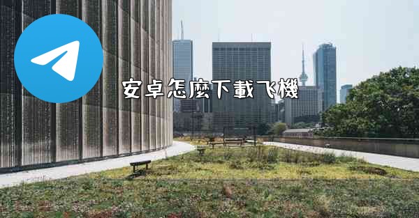 安卓怎麼下載飞機