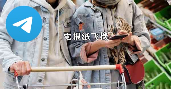電报纸飞機