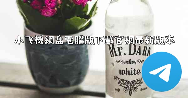 小飞機網盘電腦版下載官網最新版本