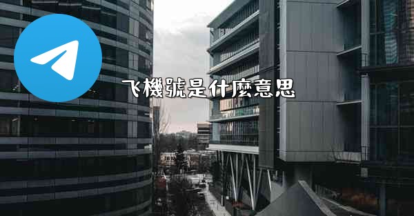 飞機號是什麼意思