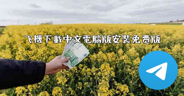 飞機下載中文電腦版安裝免费版