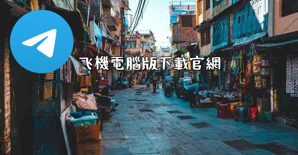 飞機電腦版下載官網