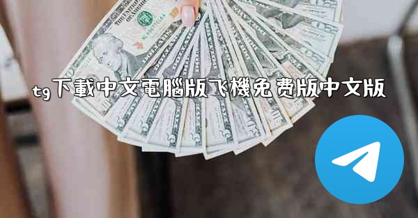 tg下載中文電腦版飞機免费版中文版