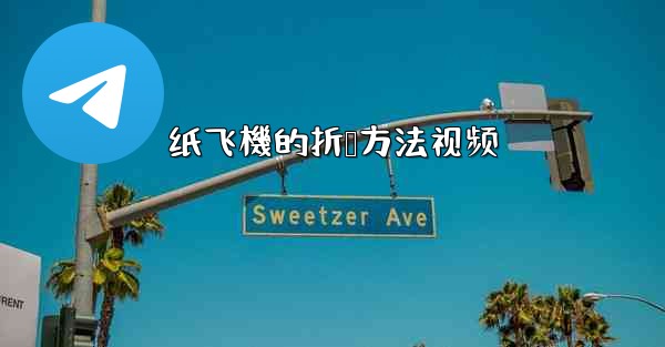 纸飞機的折叠方法视频