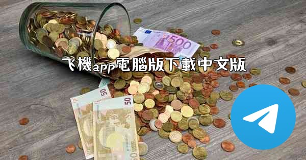 飞機app電腦版下載中文版