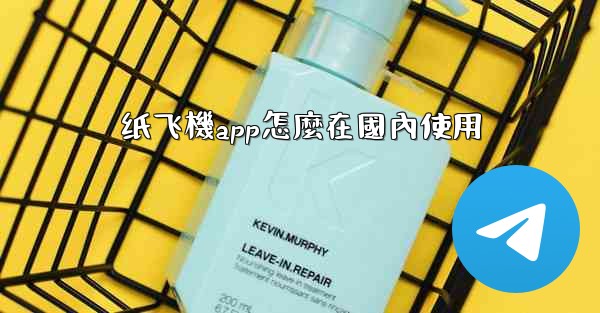 纸飞機app怎麼在國內使用