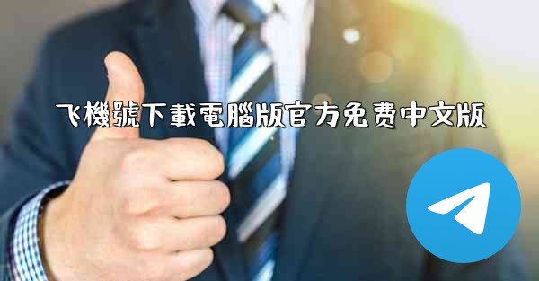 飞機號下載電腦版官方免费中文版